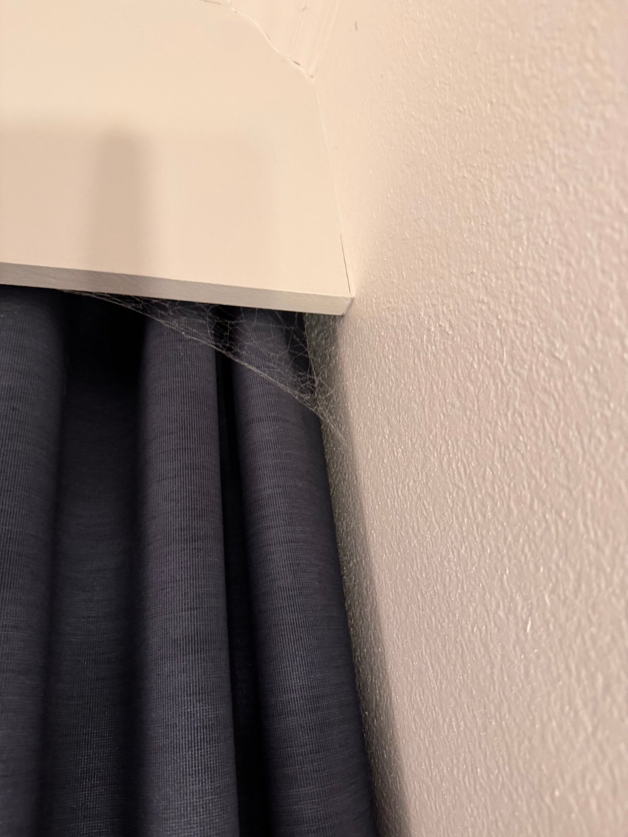 半月湾旅舍-客卧