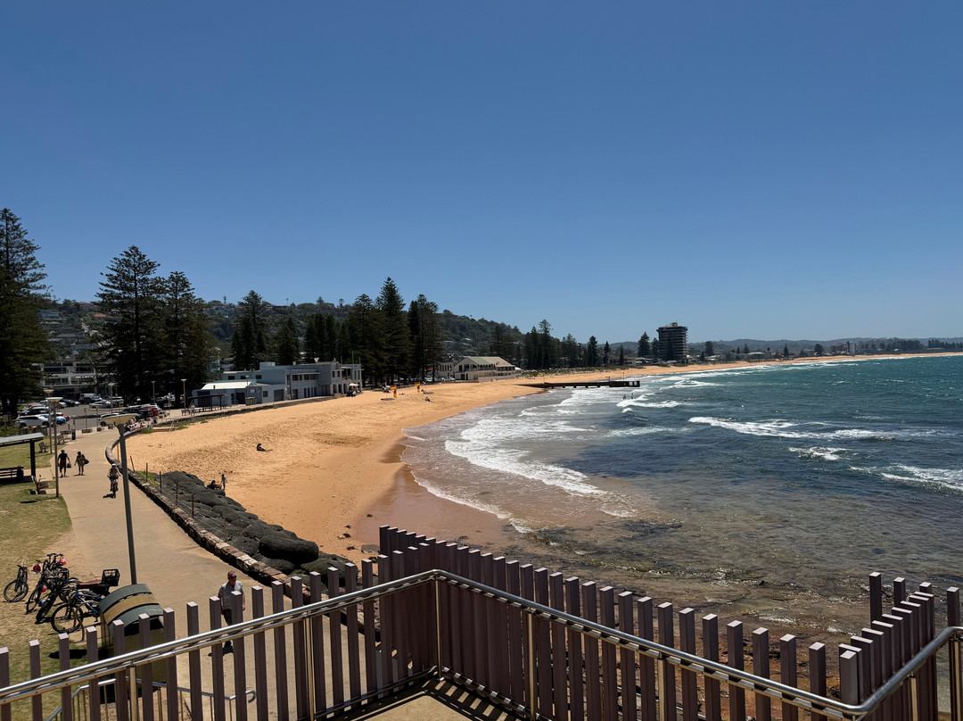 Collaroy Beach-Collaroy Beach必去景点