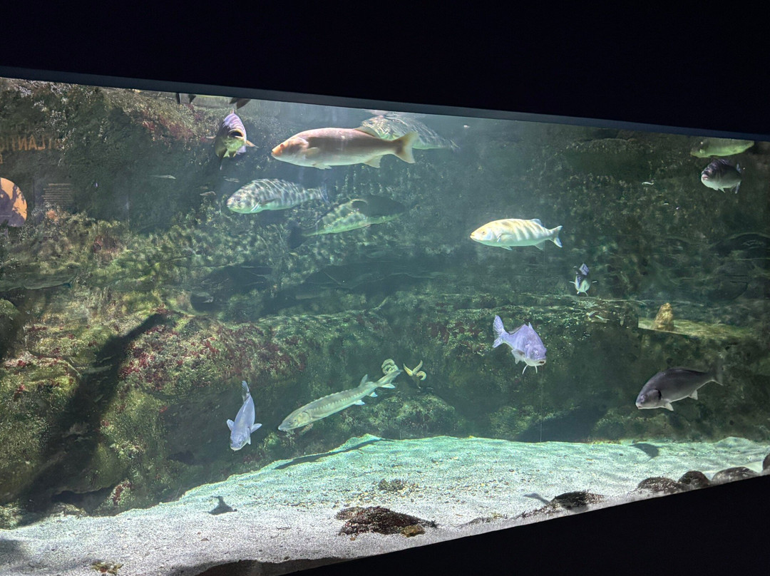 圣尼古拉斯酒店主图