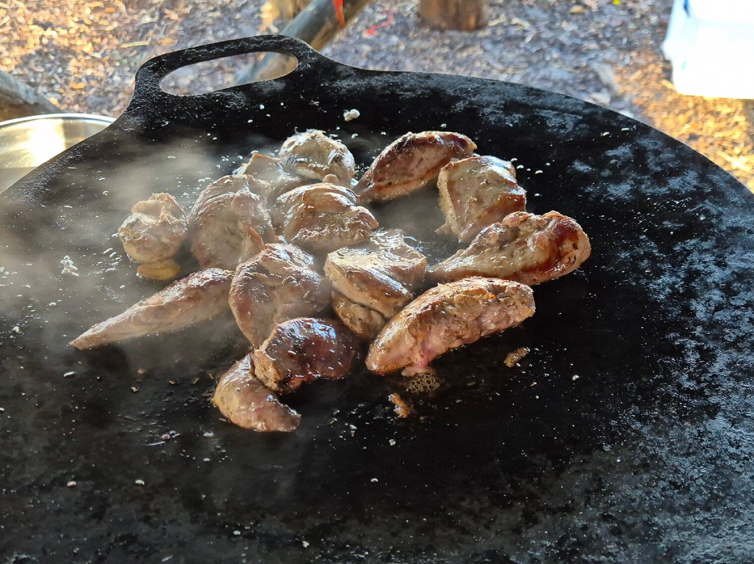 Wild Bushcraft Company-Corwen必去景点