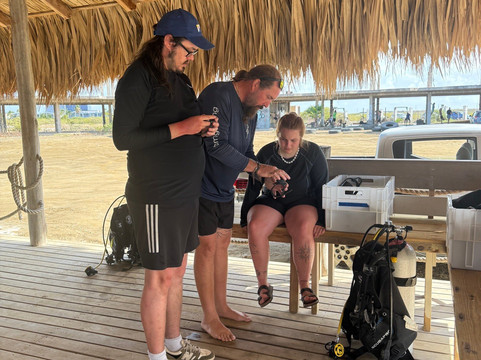 Flamingo Diving Bonaire-Belnem必去景点
