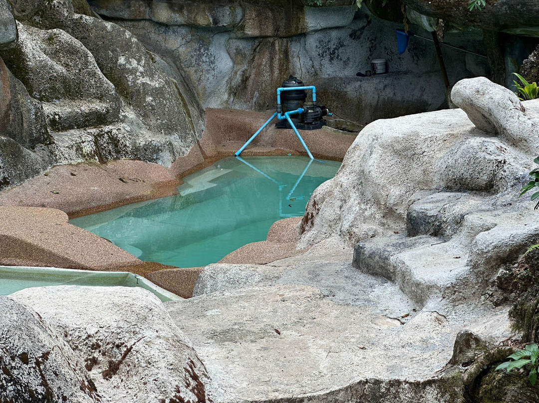 岩石树屋度假酒店主图