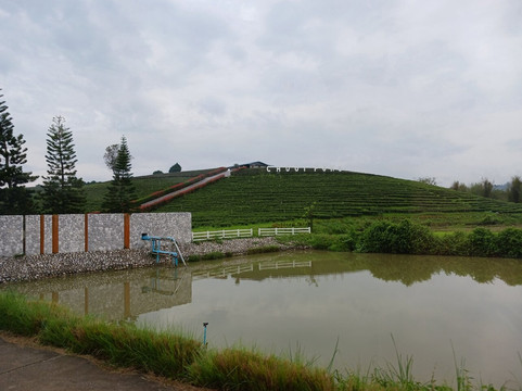 Choui Fong Tea-Pa Sang必去景点