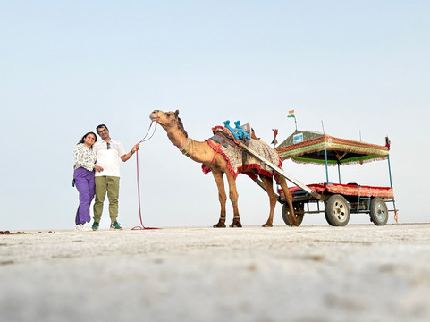 White Desert Of Kutch-普杰必去景点