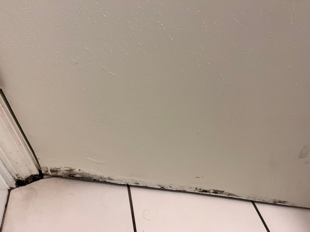 智选假日套房酒店里士满北阿什兰主图