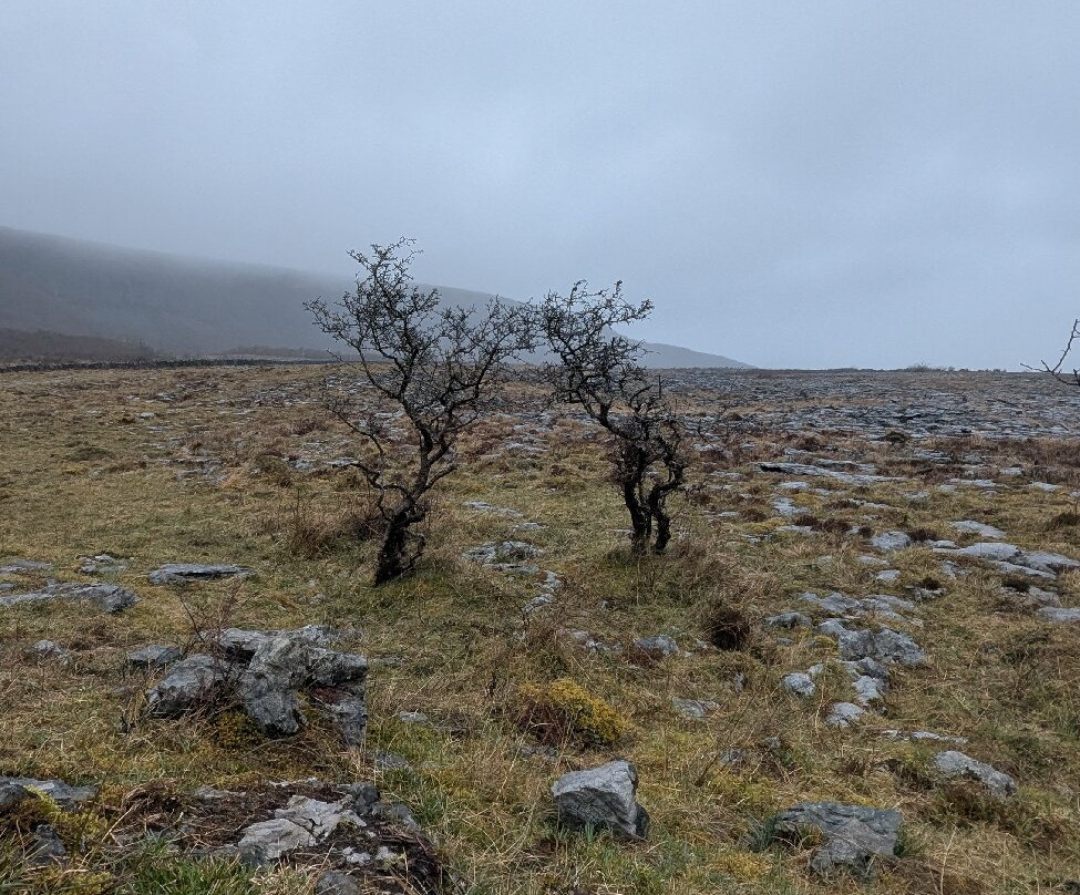 Burren Walks-金瓦拉必去景点