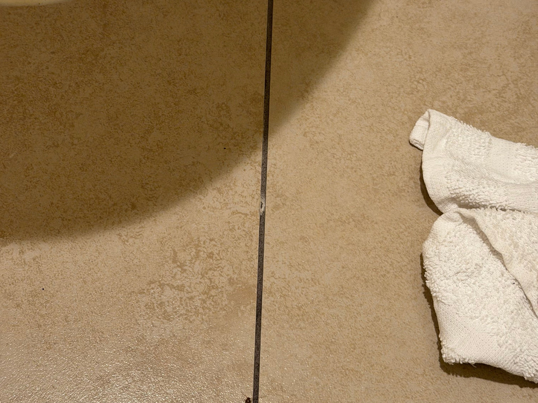 阿纳海姆公园国王酒店及会议中心主图