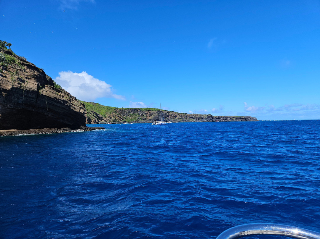 Papa's Dream-卓得多斯必去景点