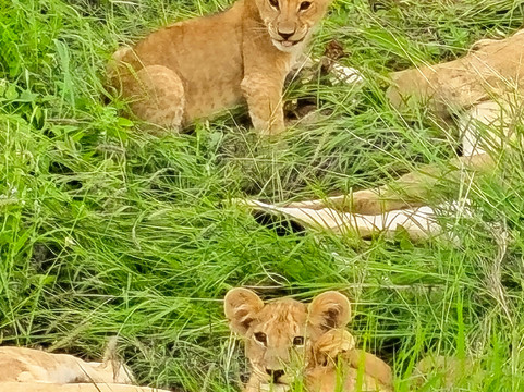 Travel Tamaro Adventures-迪亚尼必去景点