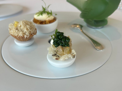 Villa Rene Lalique主图