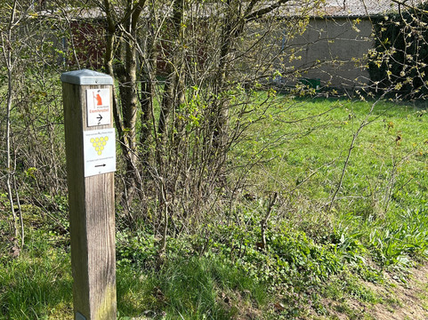 Felseneremitage-Bretzenheim必去景点