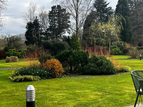 哈勃酒店的罗斯花园主图