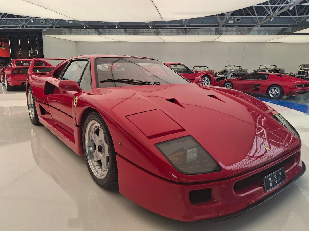 Carde Arte Design Museu