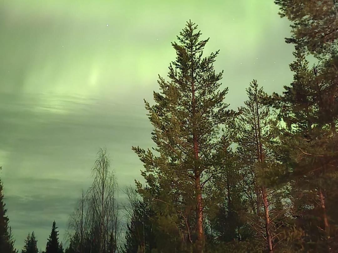 North Wind Lapland-Yllasjarvi必去景点