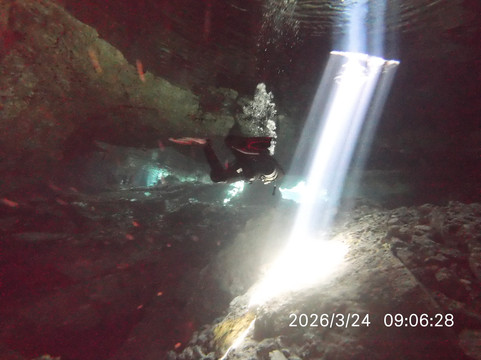 Dressel Divers Playa Del Carmen-普拉亚德尔卡曼必去景点