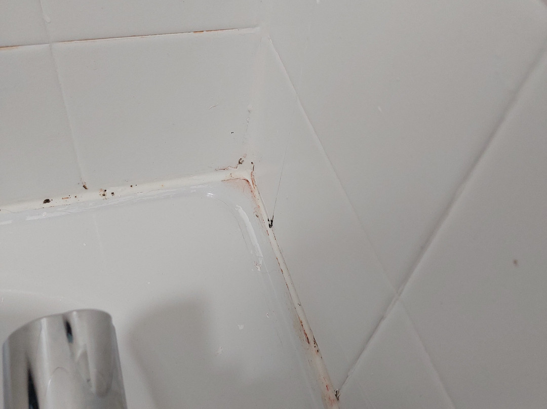 普瑞米尔沃灵顿中心酒店主图