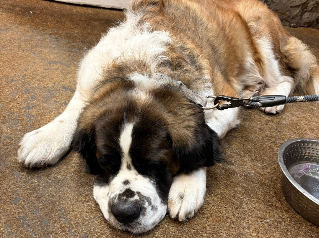 奥奇德酒店主图