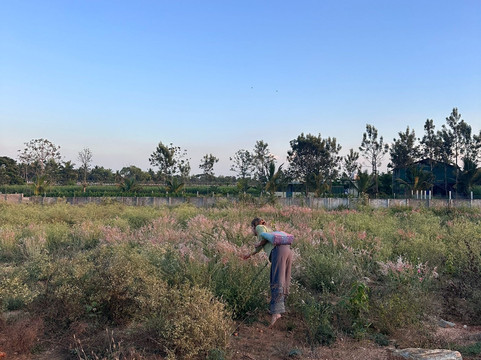 Samyak Yoga-迈索尔必去景点