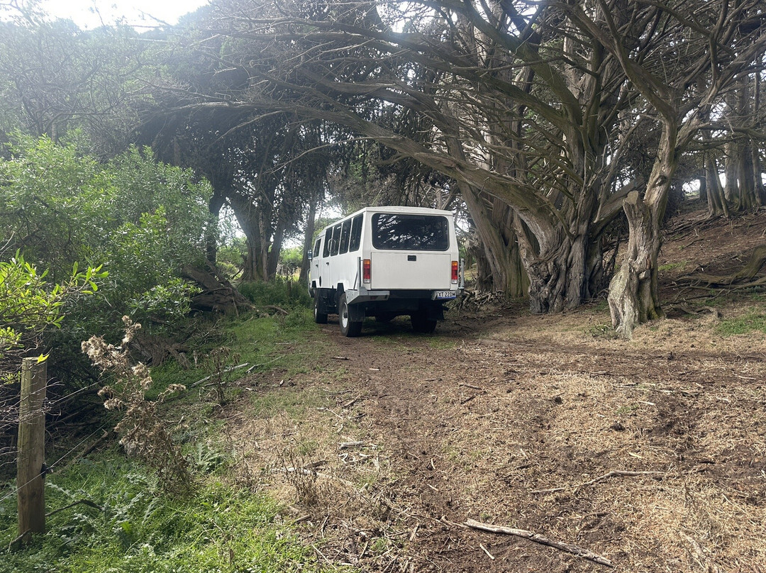 King Island Tours-King Island必去景点