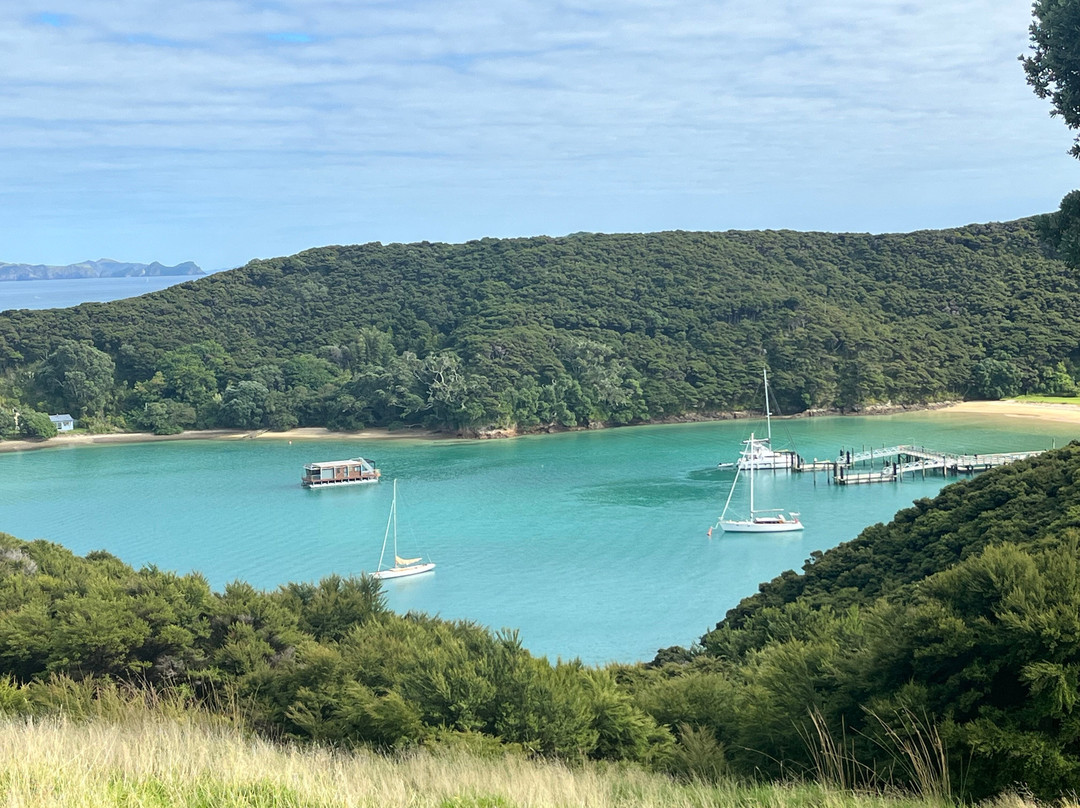Urupukapuka Island-派希亚必去景点