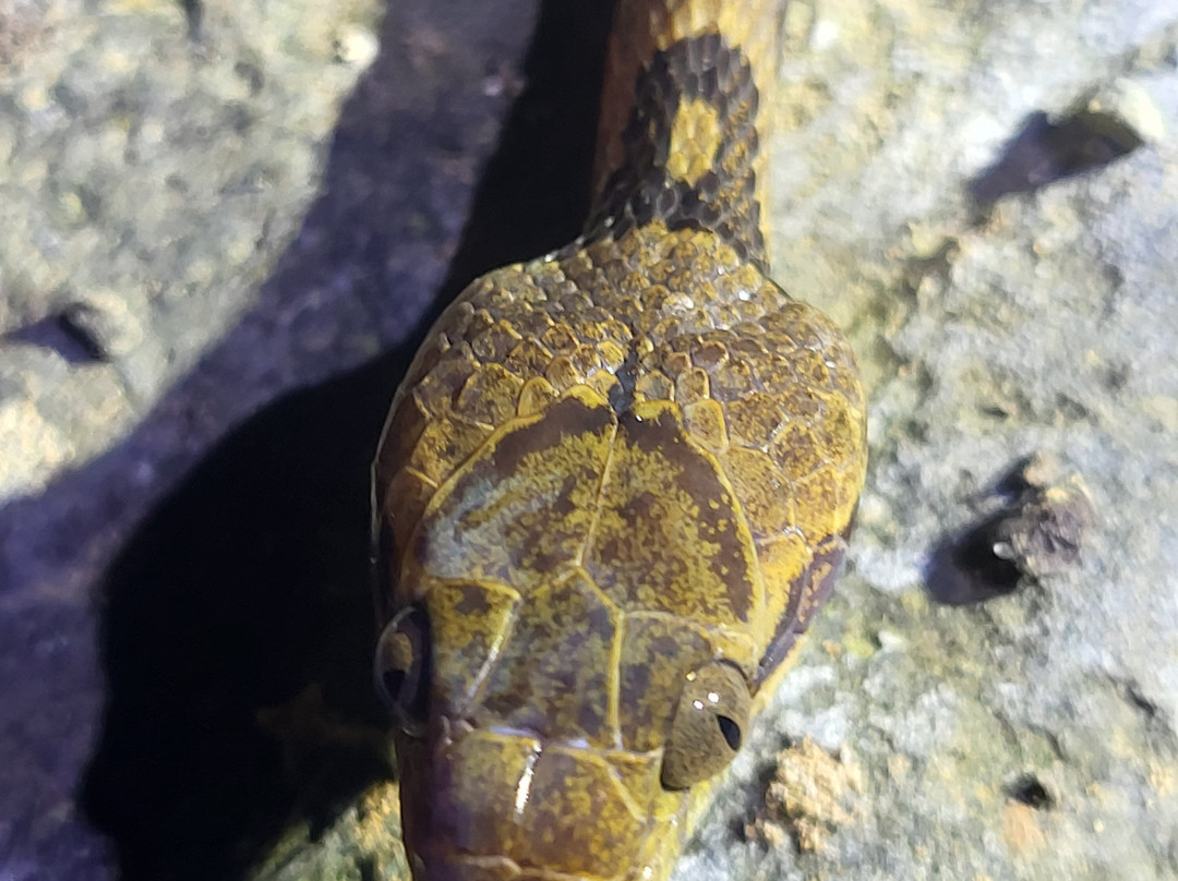 Santa Lucia Falls-乌维塔必去景点