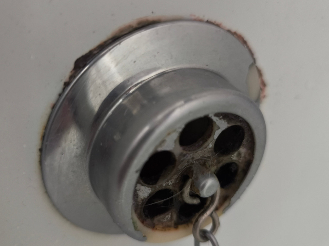 邓巴顿旅客之家酒店主图