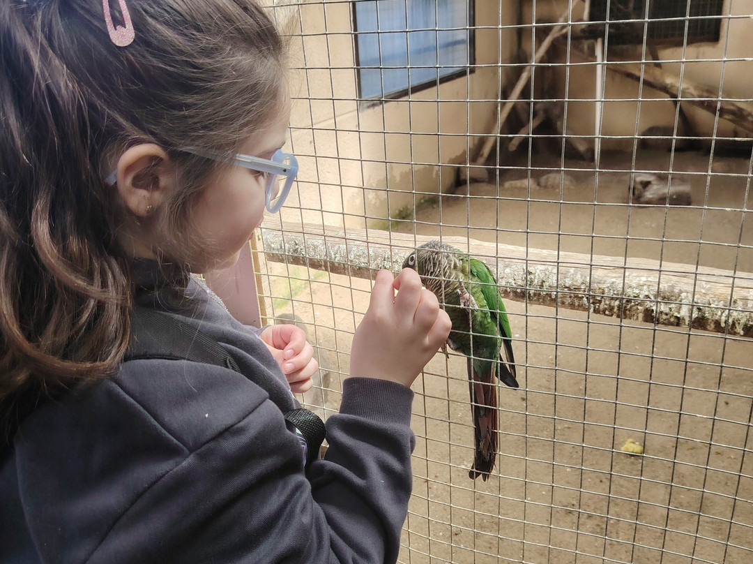 Parque Zoologico La Era las Aves-瓦拉多利德省必去景点