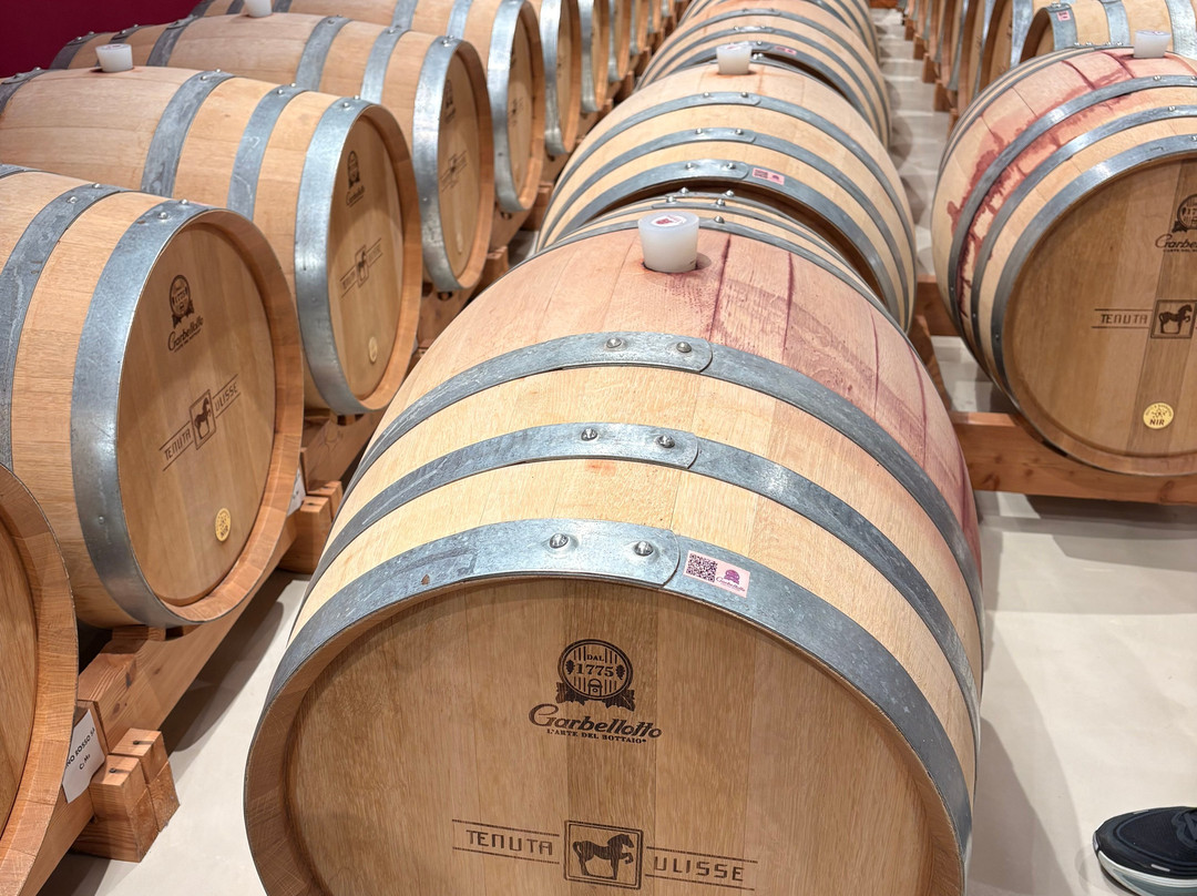 Tenuta Ulisse-Crecchio必去景点