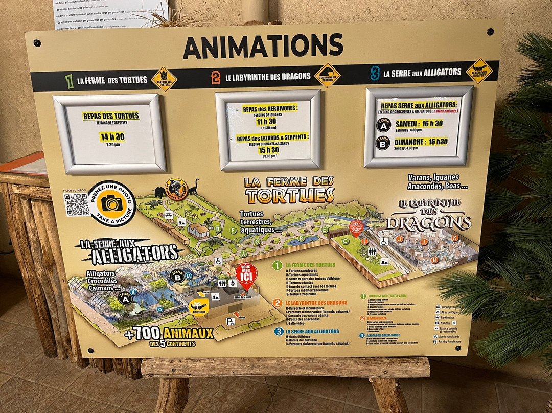 Alligator Bay-波伏娃必去景点