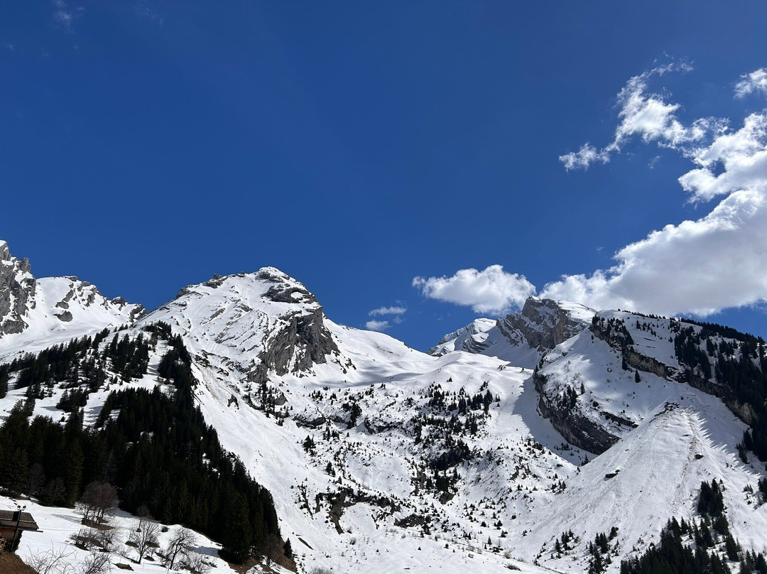 Restaurant l'Endryre主图