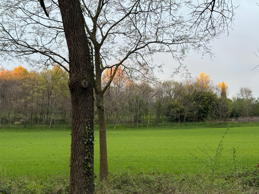 Basilica di San Francesco-拉韦纳必去景点