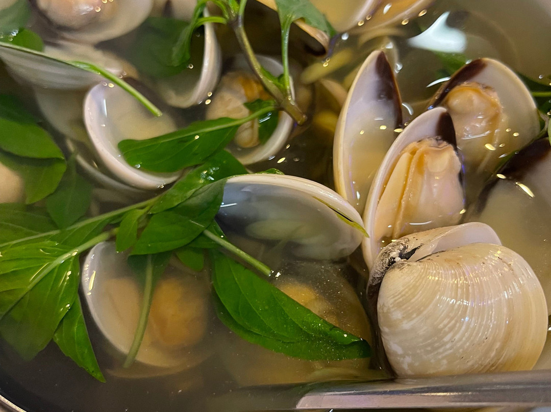 头顿贝拉维塔酒店主图