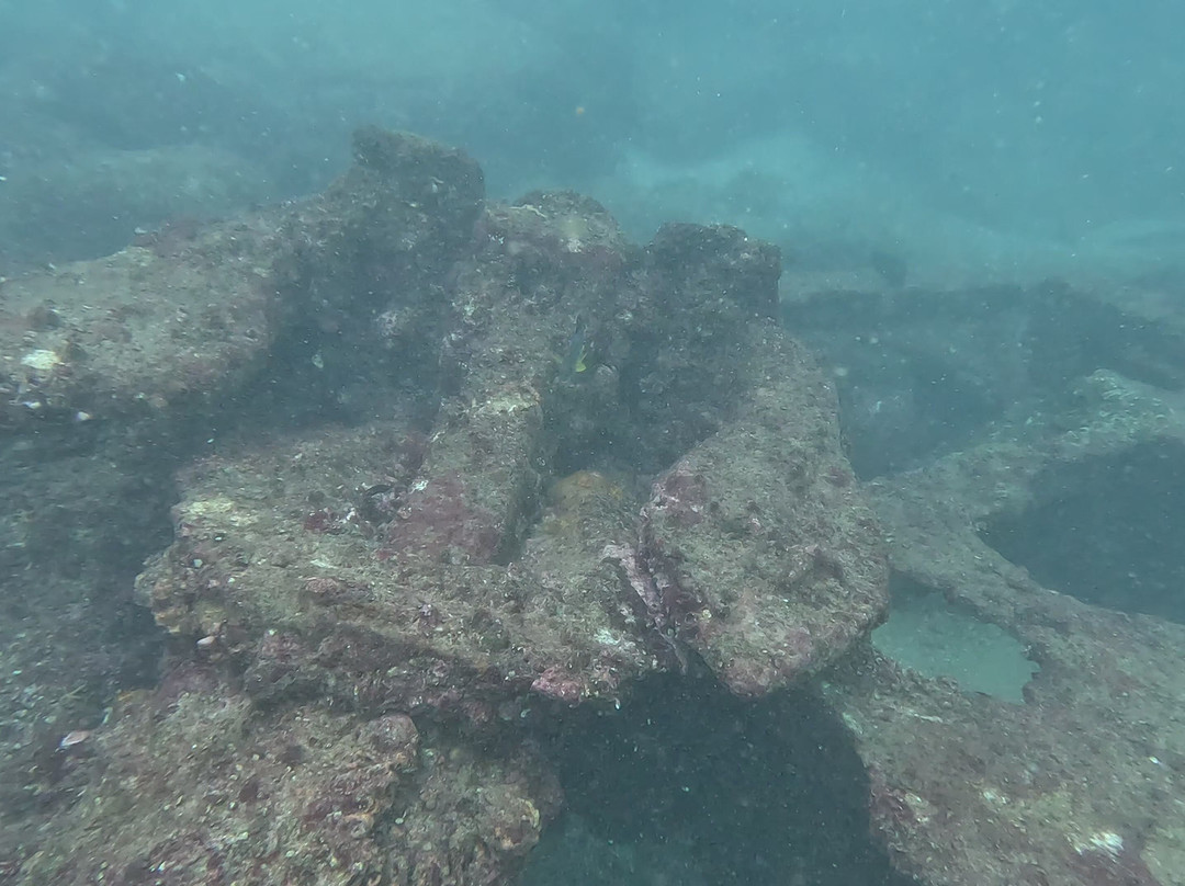 International Diving School-希克杜沃必去景点