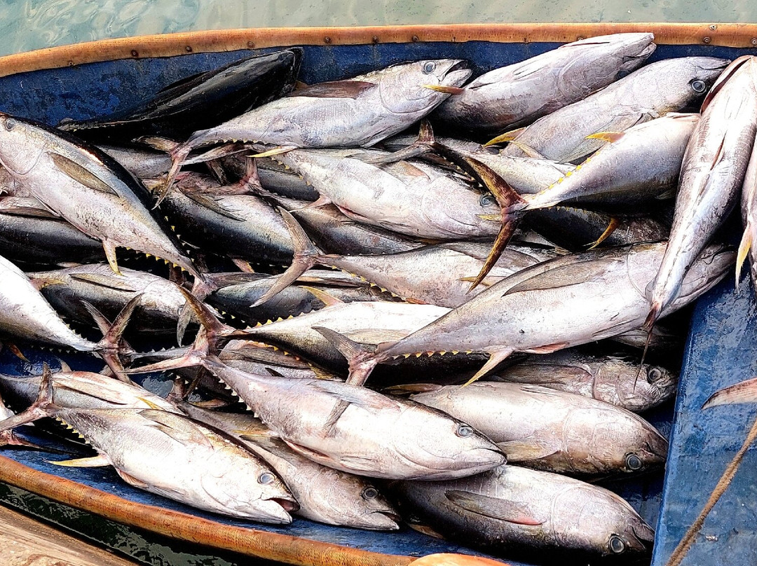 The Port of Malé-马累必去景点