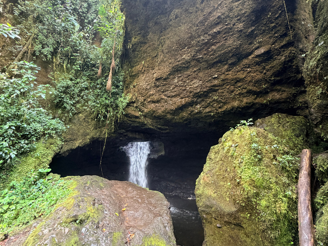 Cueva del Esplendor-Jardin必去景点