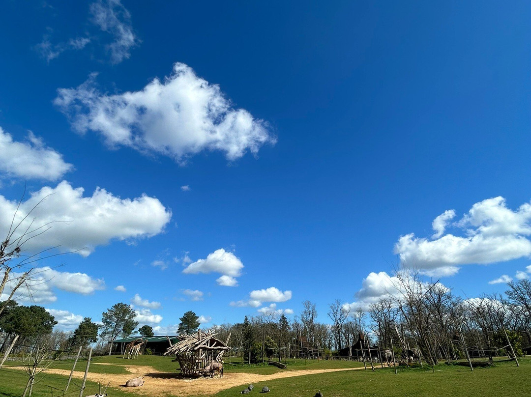 Zoo de La Fleche-La Fleche必去景点