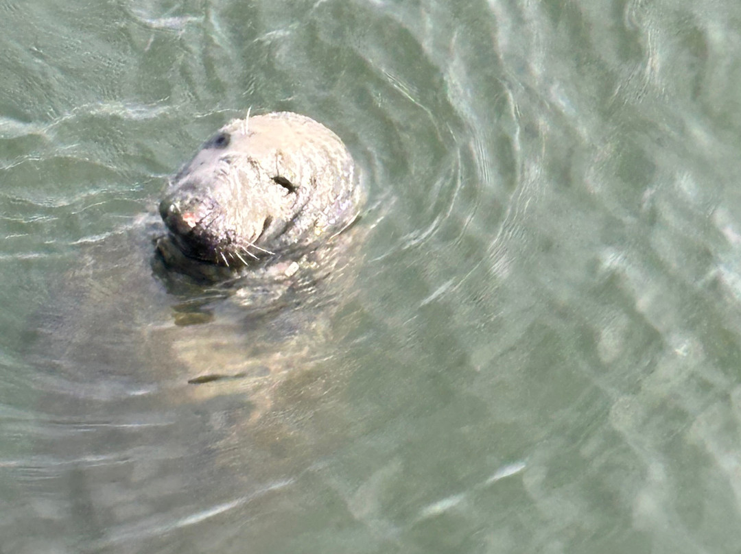Eyemouth Harbour-Eyemouth必去景点