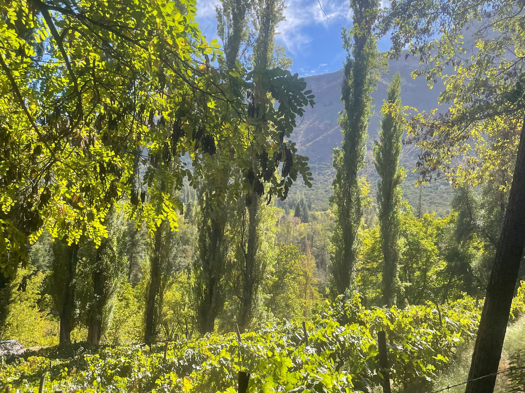 Cascada de las Animas-圣阿方索必去景点