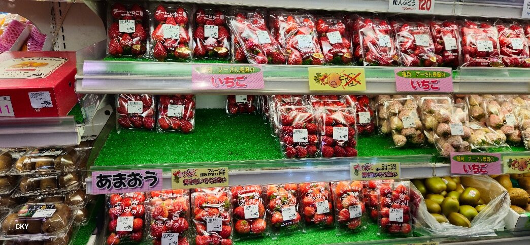 天神地下街-Tenjin必去景点