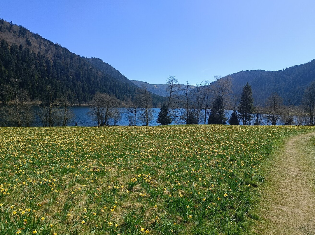 Lac de Longemer-Xonrupt-Longemer必去景点