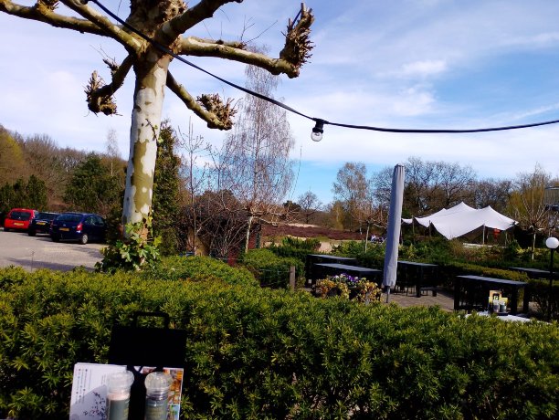 弗莱彻酒店-旅行者