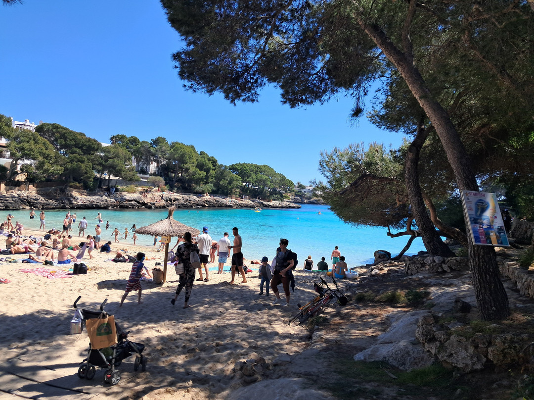 Playa Cala Gran-卡拉多尔必去景点