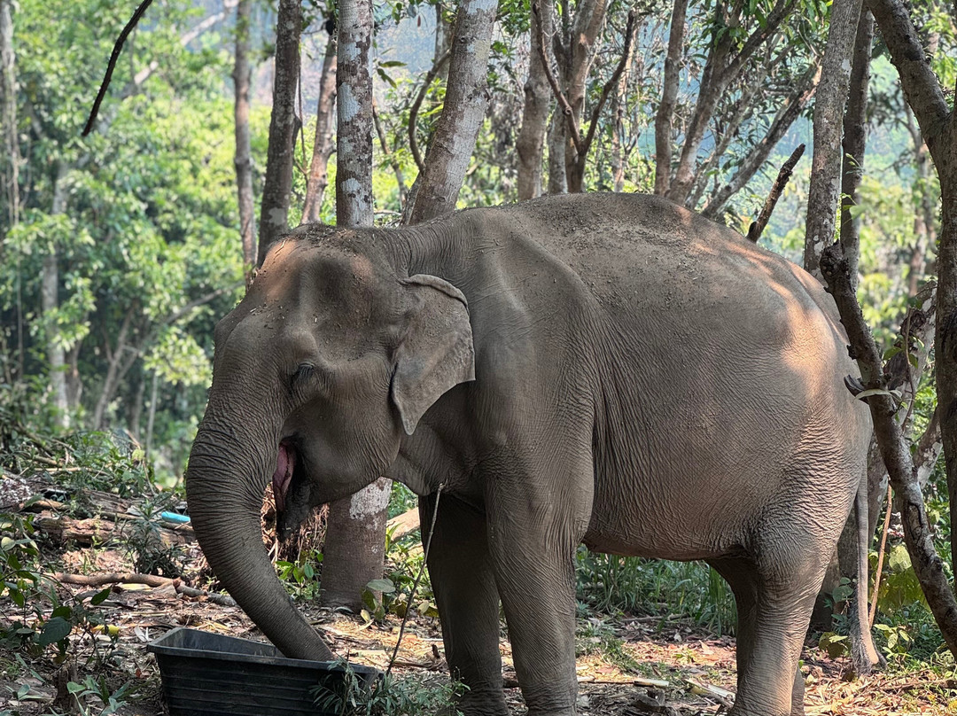 Chang Chill-Mae Win必去景点