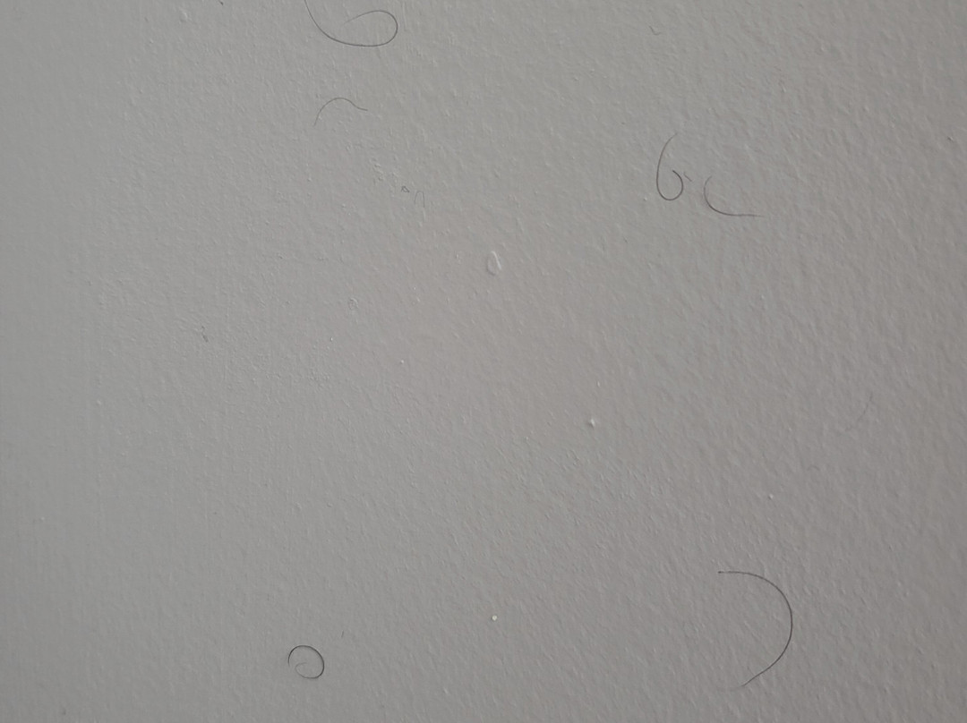 里士满西I-64丽怡酒店主图