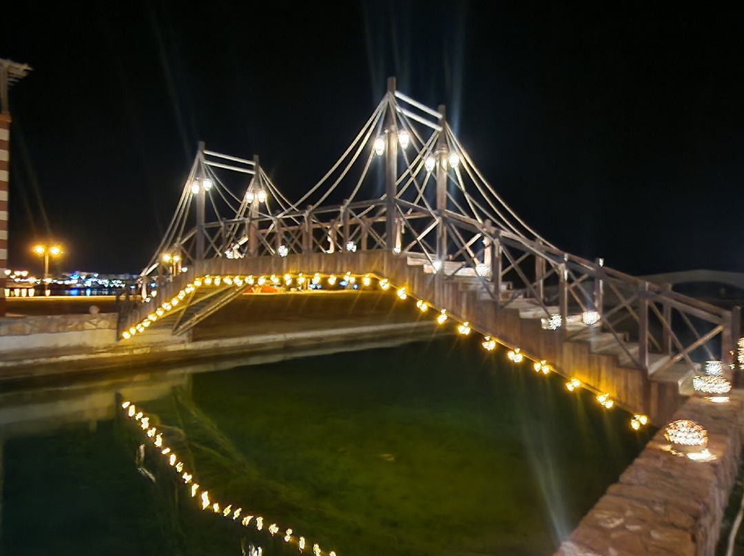 加利布港皮卡尔巴特罗斯绿洲酒店主图