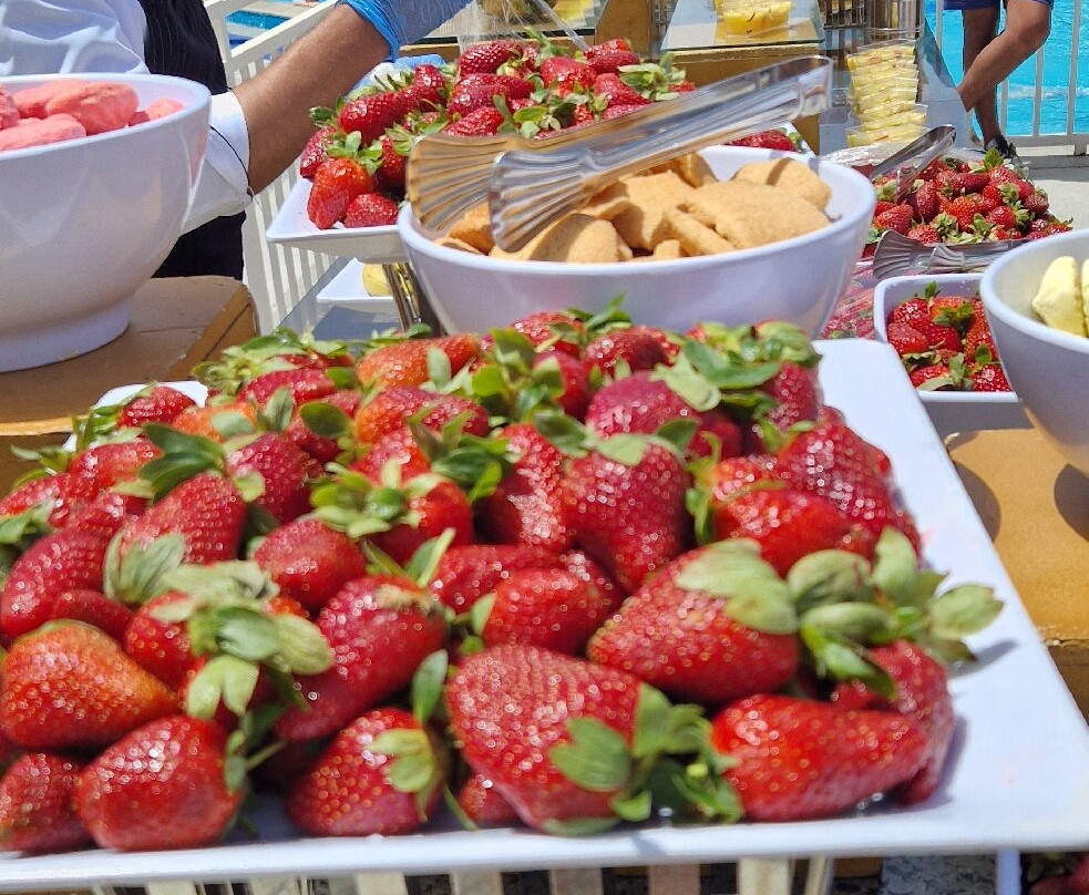 加利布港皮卡尔巴特罗斯绿洲酒店主图