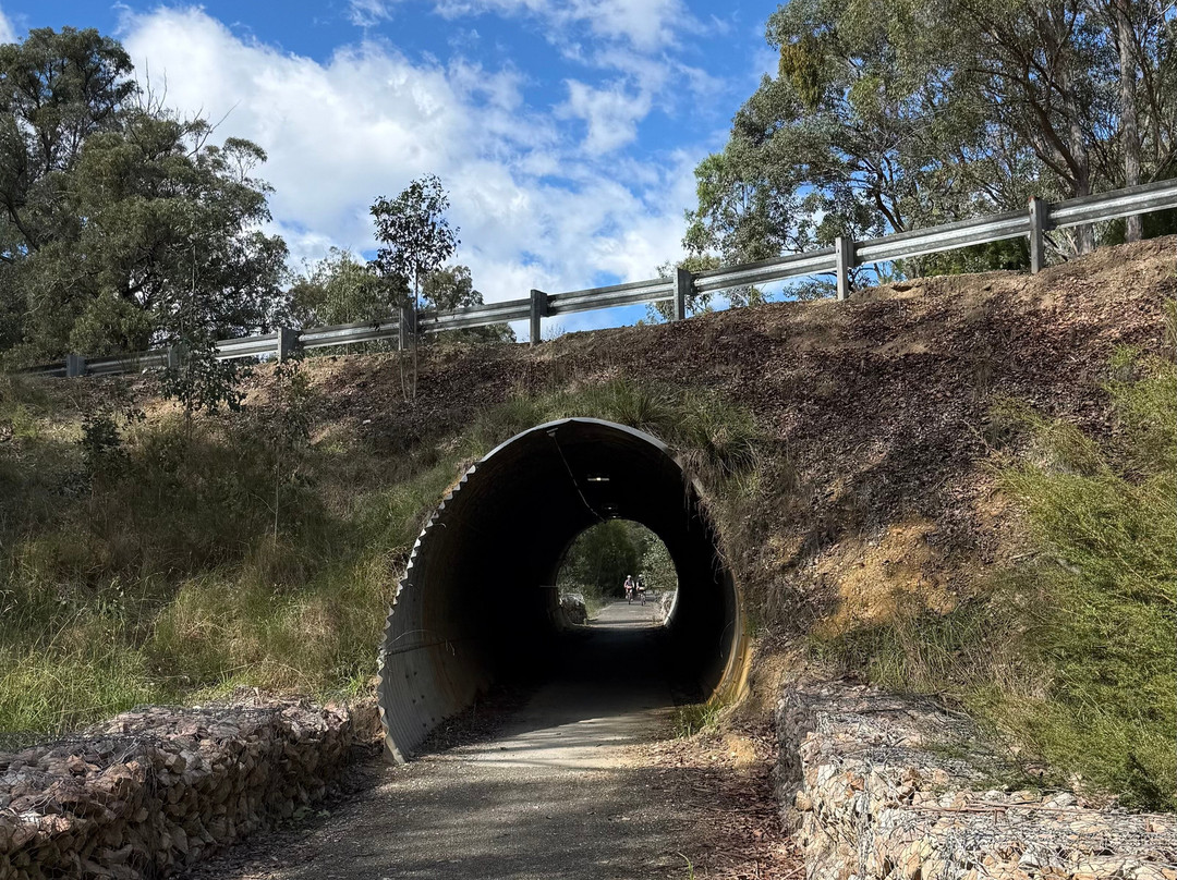 Snowy River Cycling Rail Trail Tours-Orbost必去景点