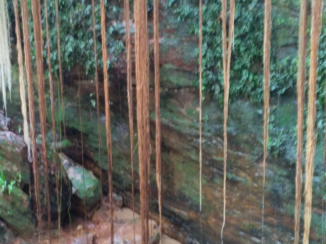 JALAPOEIROS ECOTOUR-Mateiros必去景点