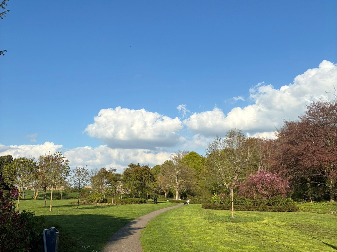 Het Seringenpark van Aalsmeer uit 1951-Aalsmeer必去景点