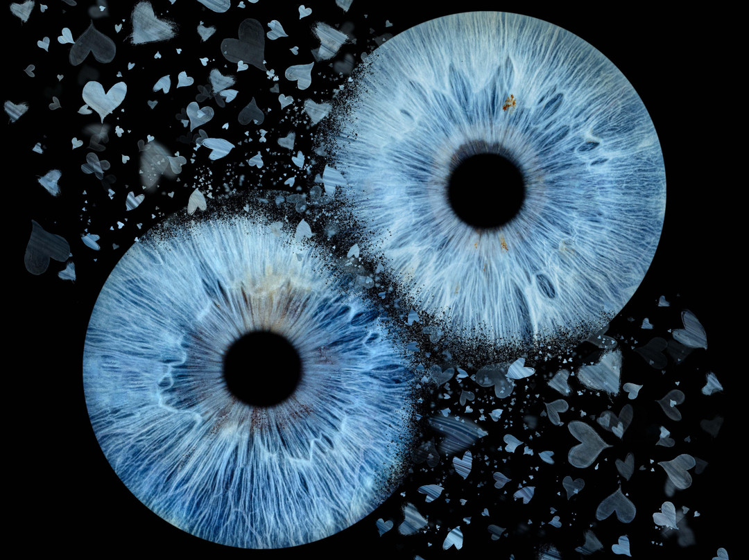 Iris Galerie Sluis